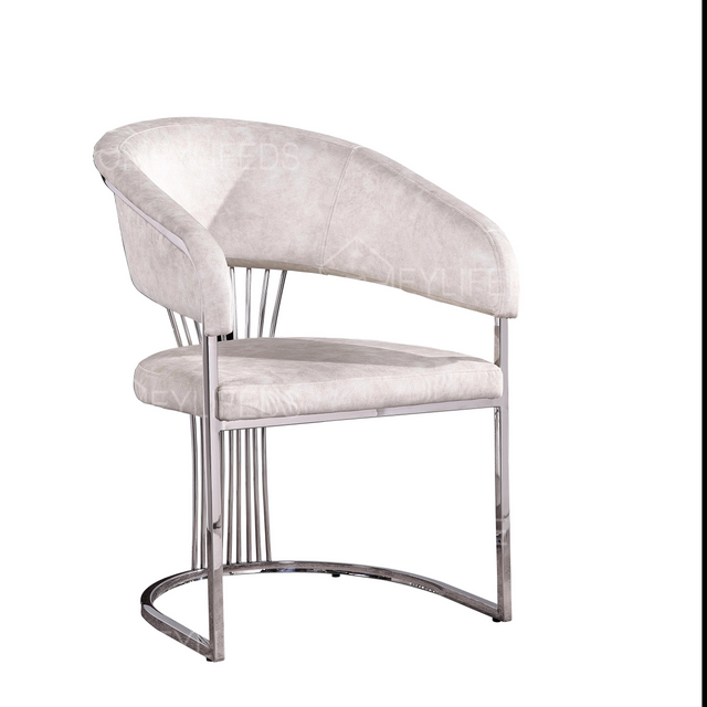 Dining Chair Modern Metal Single Dining Chair Simple Living Room Stainless Steel Chair