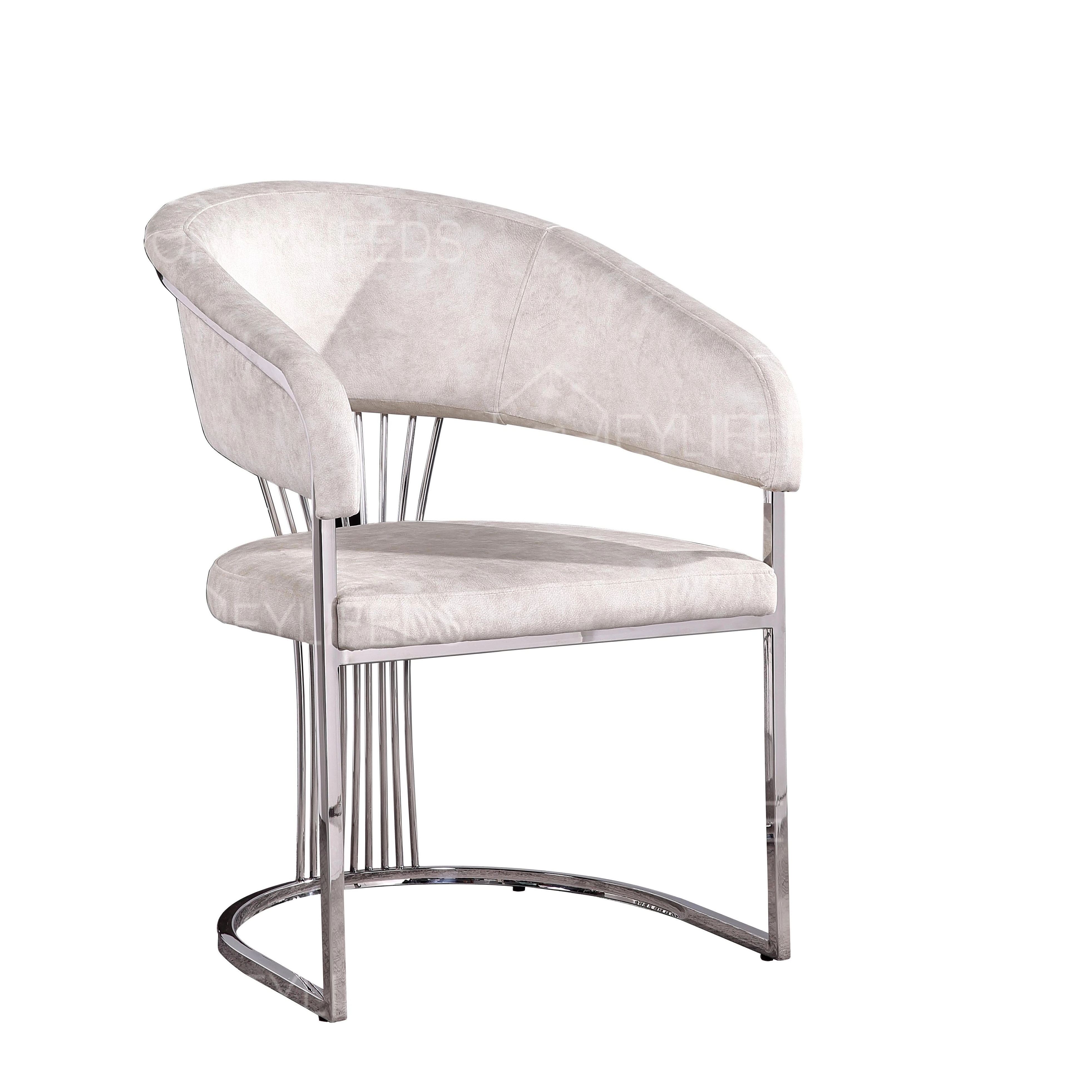 Dining Chair Modern Metal Single Dining Chair Simple Living Room Stainless Steel Chair