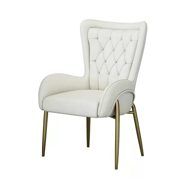 Modern Dining Furniture Stainless Steel Upholstery Velvet Dining Chair with Silver Legs